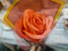 -云晓光头烧烤吧(德平路店)