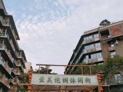 -泡桐树街