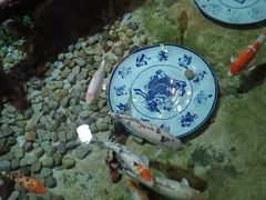 -北京海洋馆