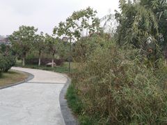 -沙河三洞古桥公园