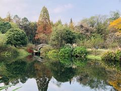 -杭州植物园