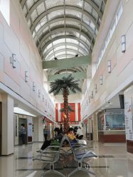 -复旦大学附属妇产科医院(杨浦院区)