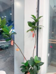 -清颜堂丨分子祛痘·功效美肤