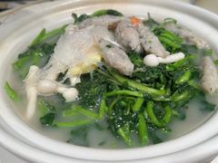 鱼滑西洋菜-东海海鲜酒家(流花店)