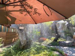 -Chom Cafe and Restaurant