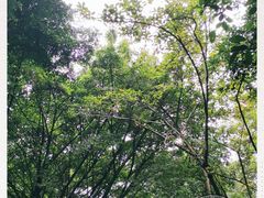 -四川大学(望江校区)