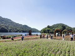 -广州市石门国家森林公园