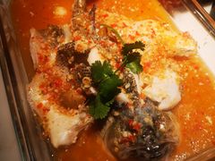 -佬肥猫(国华广场店)
