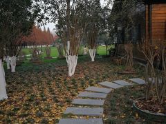 -合肥滨湖国家森林公园