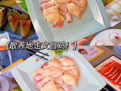 -椰小鸡·琼州糟粕醋·火锅(美兰缤纷城店)