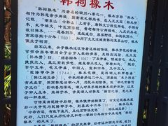 -韩文公祠