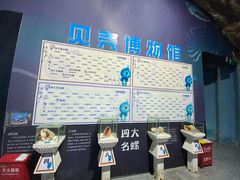 -贝壳梦幻世界