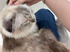 -怪兽屋·羊驼·猫咖·狗咖(俊华广场店)