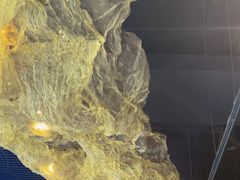 -顶特勒·黄鱼馆·特色菜(上海大世界店)
