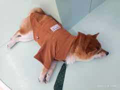 -怪兽屋·羊驼·猫咖·狗咖(俊华广场店)