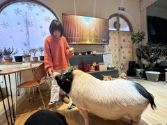 -小时光咖啡馆(开森度假森林店)