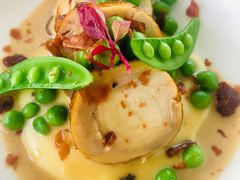 -蝶舍·MAISON PAPILLON