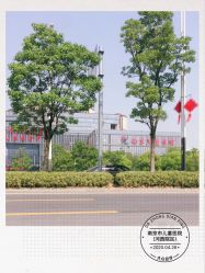 -南京市儿童医院(河西院区)