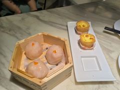 -陶陶居酒家(SM二期购物广场店)