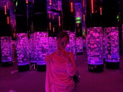 -成都浩海立方海洋公园