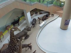 -陕西自然博物馆