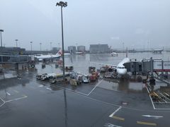 -虹桥国际机场-2号航站楼停车场