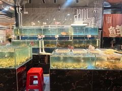 -阳江餐厅·30年老字号·粤菜海鲜大排档