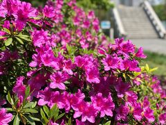 -东湖落雁景区