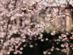 -静安雕塑公园