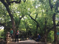 -蒋氏故居