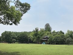 -东湖落雁景区