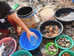 -仙本那小型鱼市