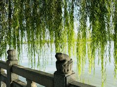 -济南大明湖景区