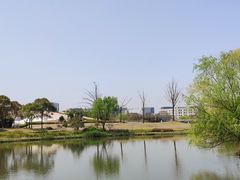 -新江湾城公园