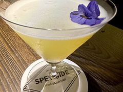 -SPEYSIDE 威士忌&鸡尾酒吧