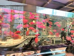 -怡咖啡海鲜自助餐厅(浦东香格里拉店)