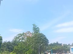 -森波拉奇妙世界