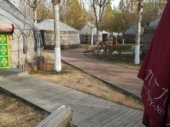 -九十九顶毡房(阜石路店)