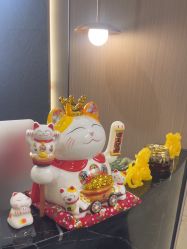 -半岛故事·法儿曼抗衰·indiba中心