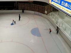 -TheRink大零溜冰场(IFS国金中心店)