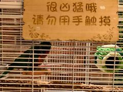 -大潮淮·淮扬菜(何园旗舰店)