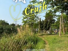 -福田红树林生态公园