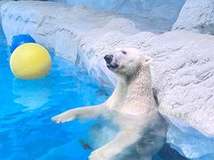 -珠海长隆海洋王国