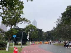 -万绿园