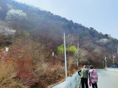 -棋盘山风景区