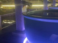 -咸宁万豪温泉谷度假区