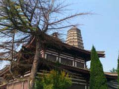 -法门文化景区