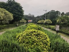 -南沙蒲洲花园