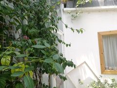 -拾壹cafe·工作室