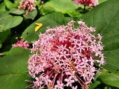 -西湖风景区-江洋畈生态公园